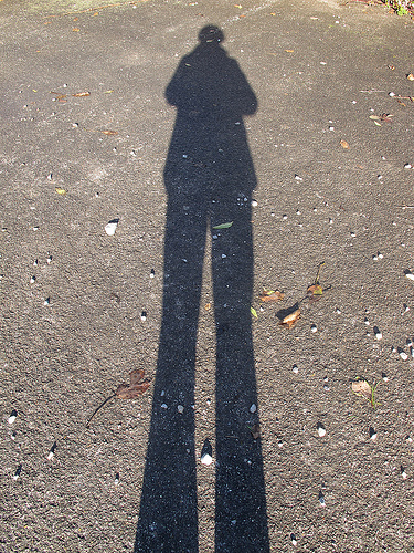 Can I Shadow you? Pre-course clinical experience | Therapy Ideas Blog ...